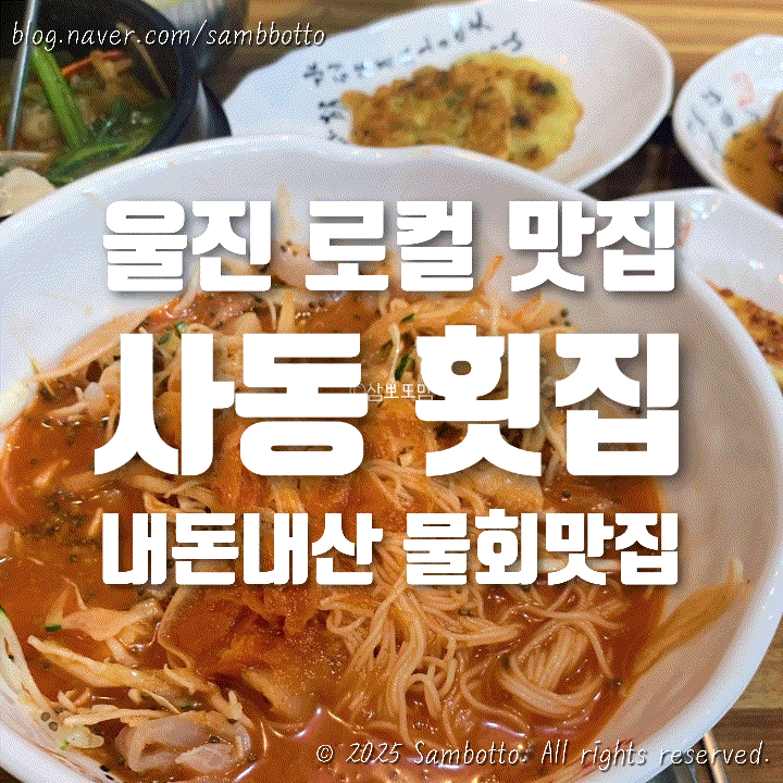  [내돈내산] 울진 사동횟집, 울진군청 근처 맛집, 로컬 물회 맛집 강력 추천
