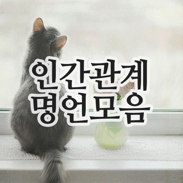  애쓰지 않아도 괜찮아...인간관계 명언 모음