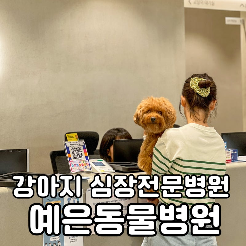 강아지 심장병 검진 강남 24시 예은동물병원 후기