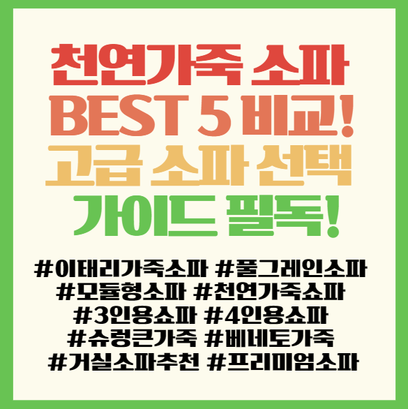  천연가죽 소파 BEST 5 비교! 이태리 풀그레인부터 모듈형까지 고급 소파 선택 가이드  필독! <소파연구소>