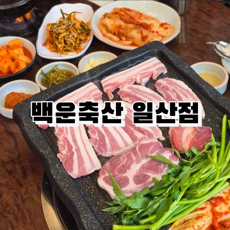  일산 호수공원 맛집 - 백운축산 소한마리정육식당 일산점