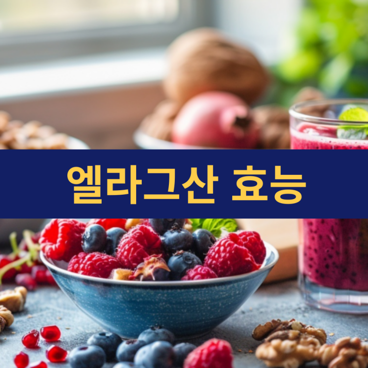  엘라그산 효능 | 석류 속 천연 항산화 성분 엘라그산 | 폴리페놀 효과 효능 및 부작용