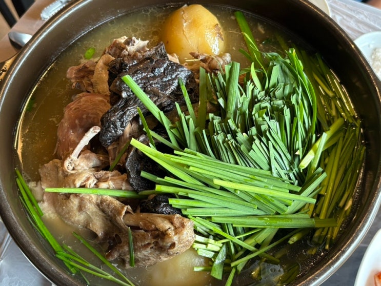  속초 누룽지 능이백숙 오리고기 맛집 송가네오리촌 현지인추천