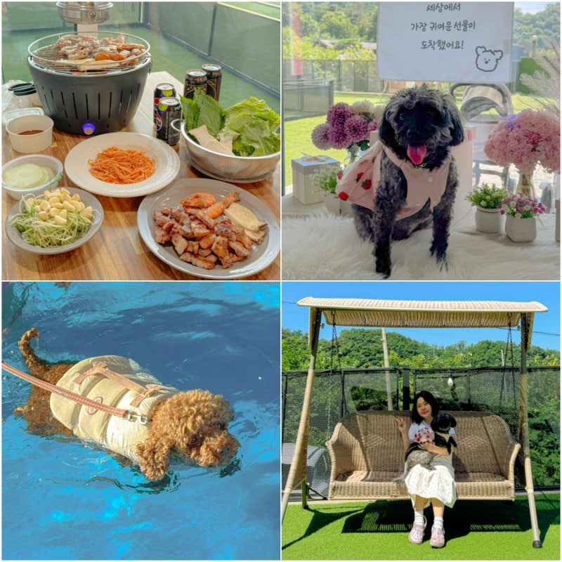 사진 5