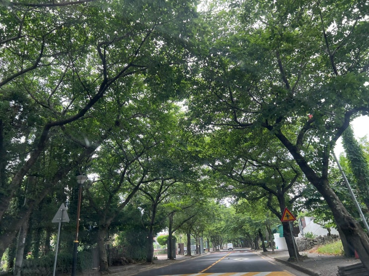  제주 중문단지 제주갈치전문점 색달식당 방문 후기