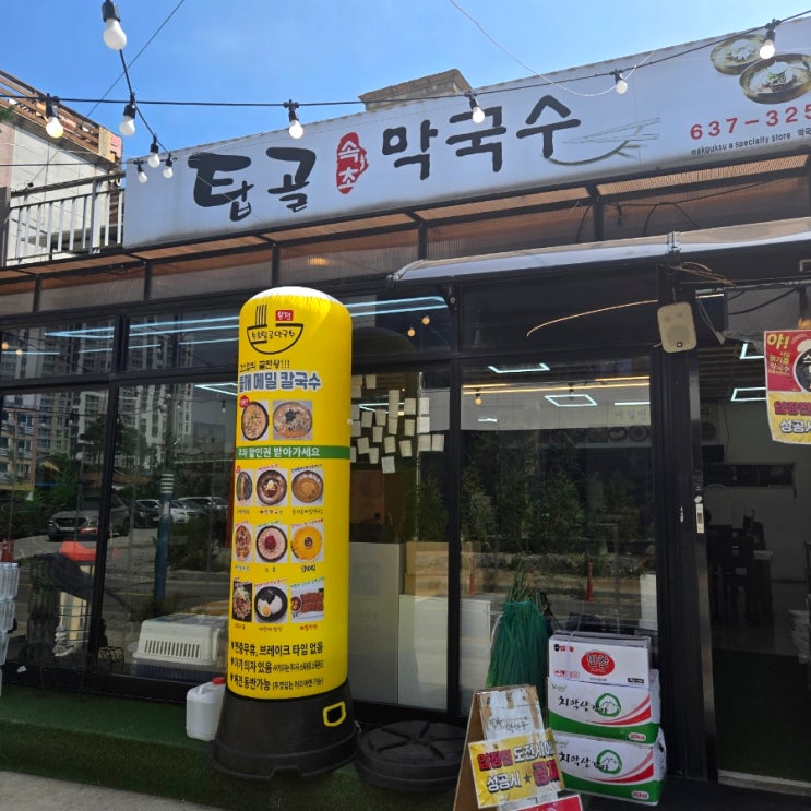  속초 들기름 막국수는 탑골막국수가 존맛!