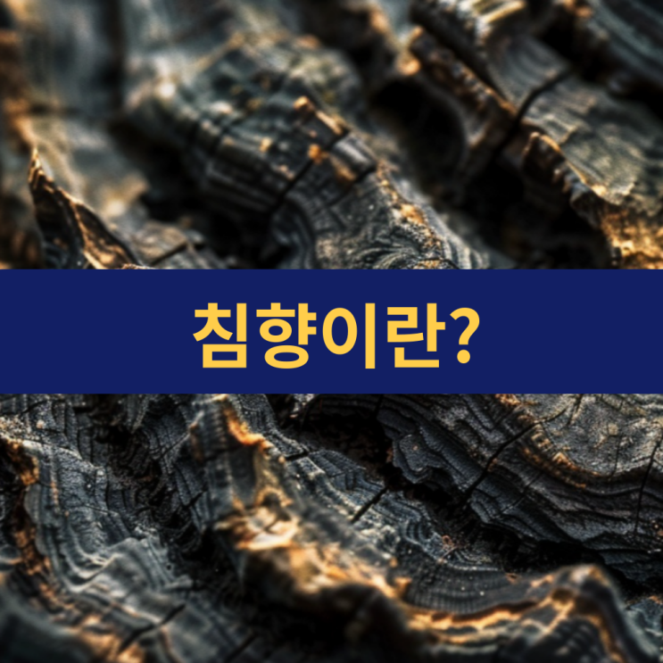  침향 효능 | 정관장 침향액 | 침향앰플 | 침향가격 | 여름철 건강 관리 | 기다림 침향