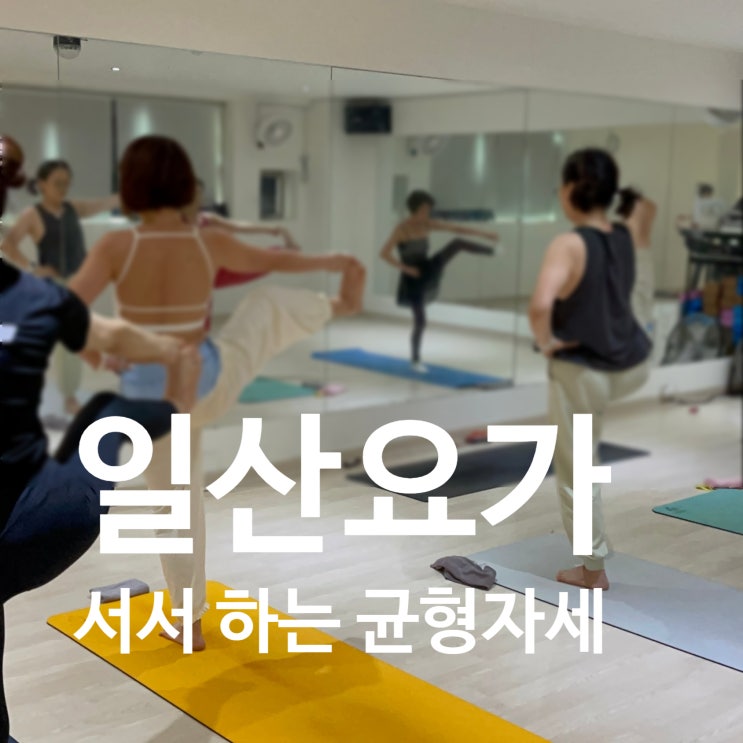  일산요가에 진심인 레디바디! 균형자세까지 무사히