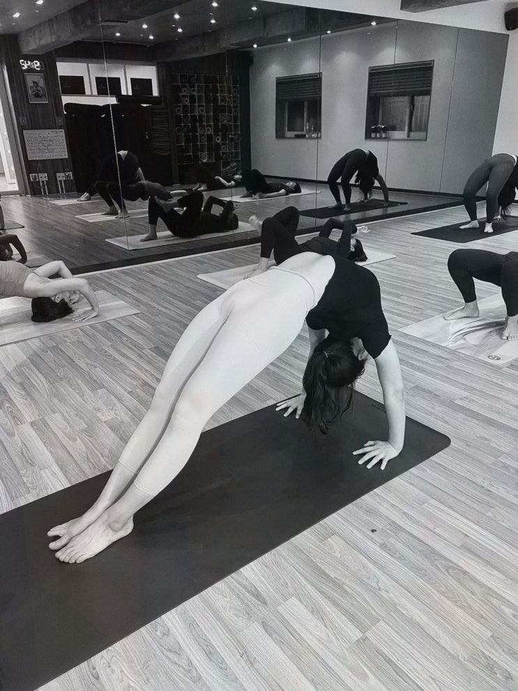  사브리나요가, 요가비기너를 위한 맞춤형 레슨