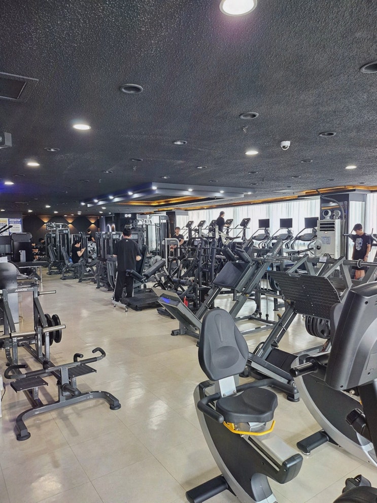  직장 스트레스 해소, 일산헬스장 인프라짐 PT 대화역헬스장에서