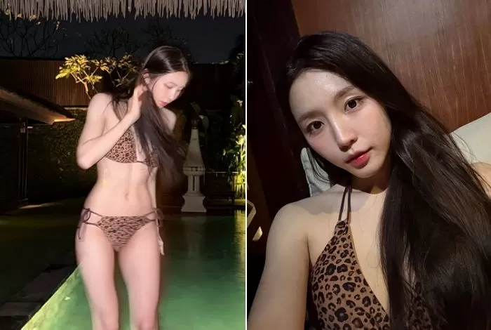 성해은, 호피 비키니로 반전 매력 폭발! “청순+섹시 다 되네” (+인스타 프로필 나무위키 근....