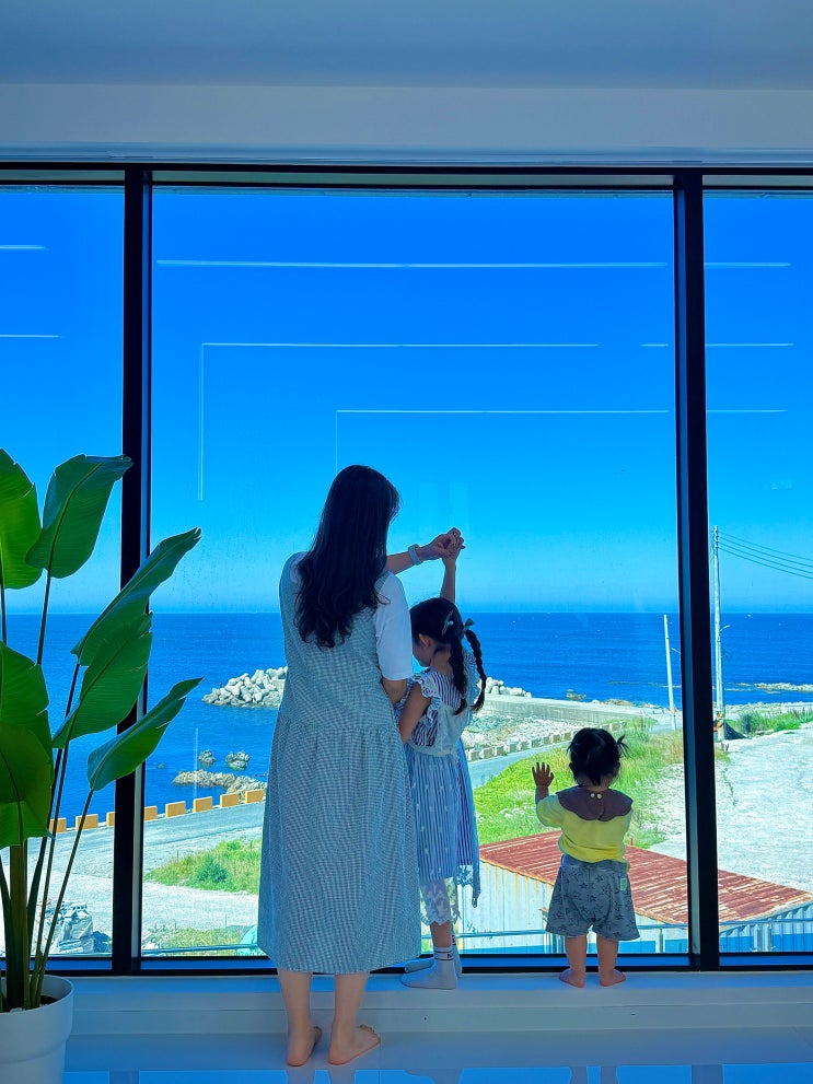  포항 신상 풀빌라 펜션 아기랑 오션뷰 수영장 모딜레