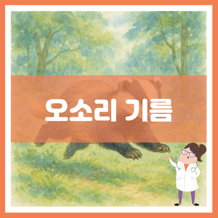  오소리 기름 효능 부작용 고르는 방법