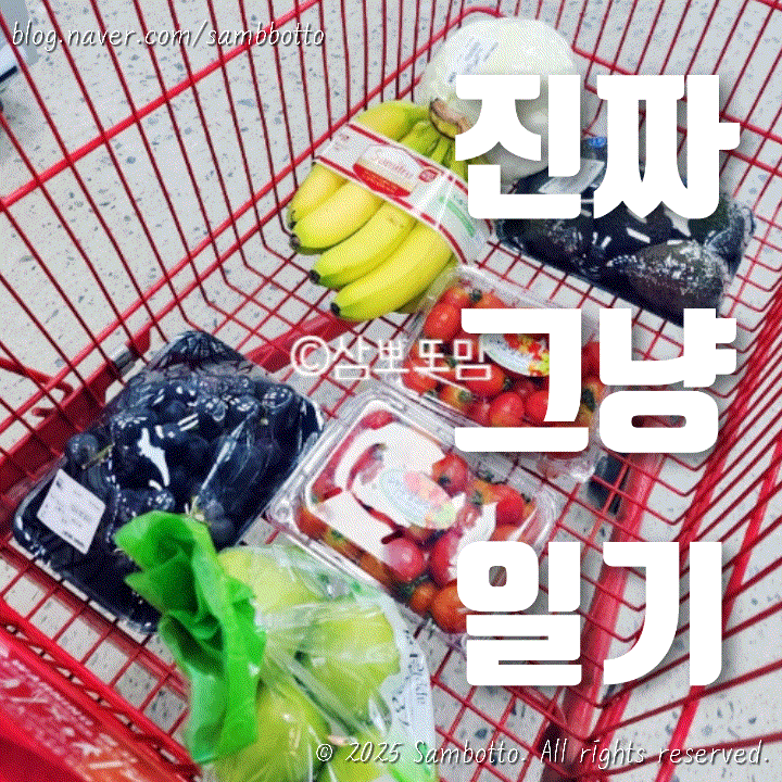  진짜 그냥 일기 |  2025 중복의 맛, 맛집 닭도리탕 황금레시피, 과일장보기