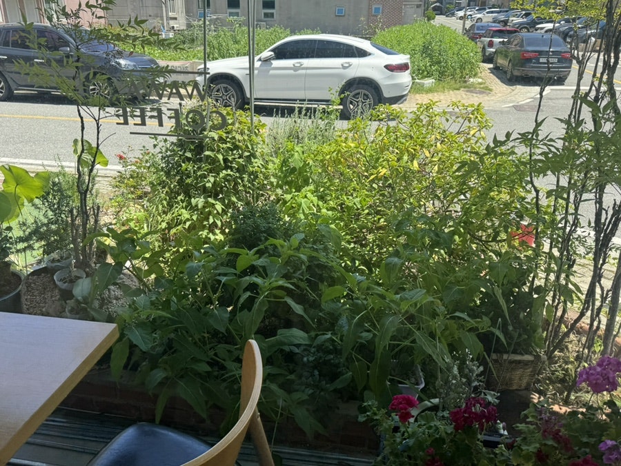 와와커피 사진 6