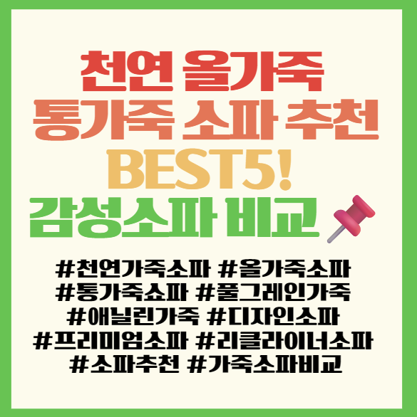  천연 올가죽 통가죽 소파 추천 BEST5! 풀그레인부터 애닐린까지 감성소파 비교 리스트 필독! <소파연구소/쏘랩/정직한소파>