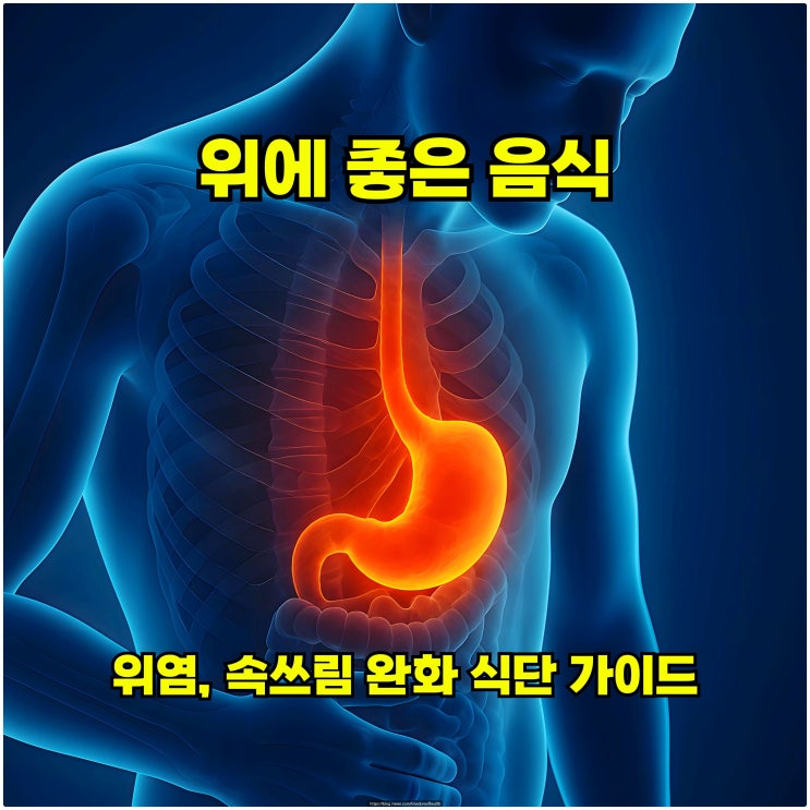  위에 좋은 음식 – 위염, 속쓰림 완화 식단 가이드