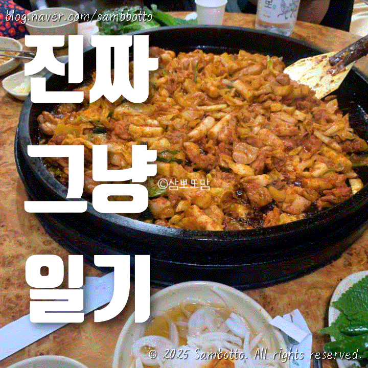  진짜 그냥 일기 | 휴가 전, 광란의 기록
