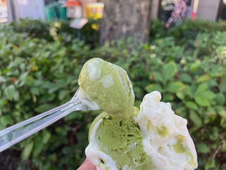  강릉 젤라또마켓, 강릉 아이스크림의 진수를 만나다!