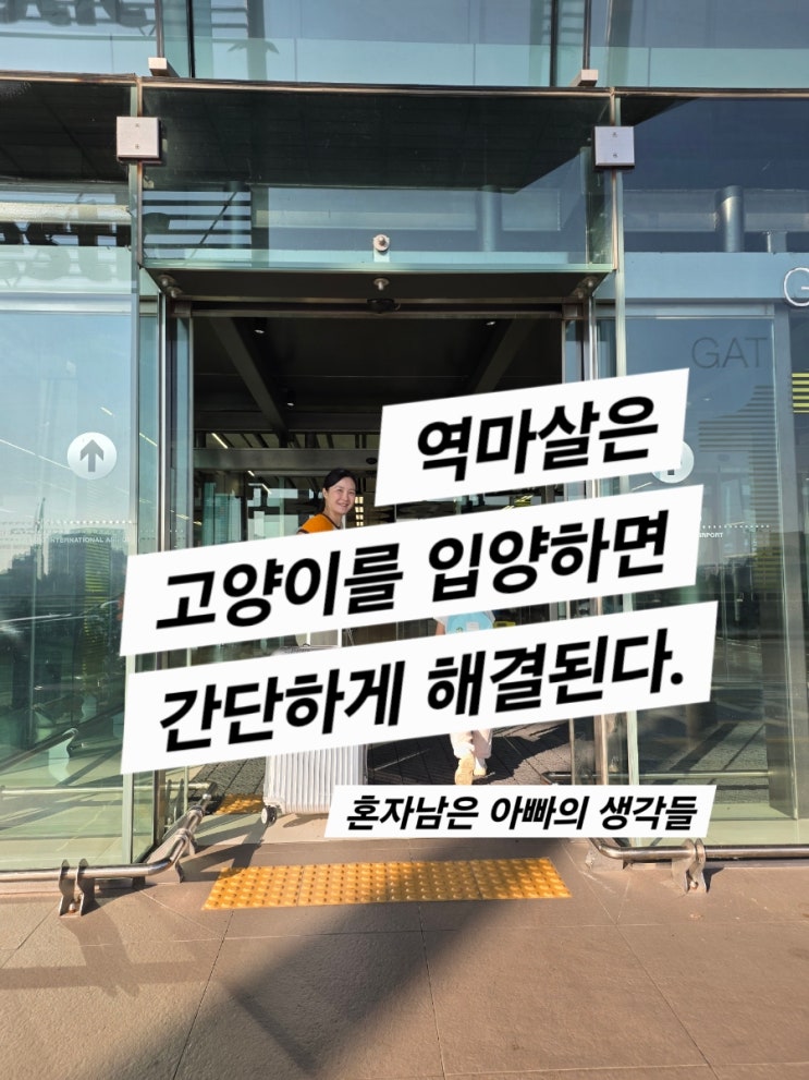 아빠는 고양이 캔따개 (역마살은 고양이로 강제 치유중)