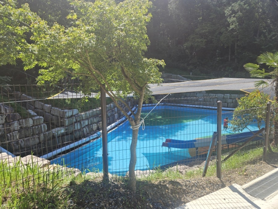 보은산 사진 3