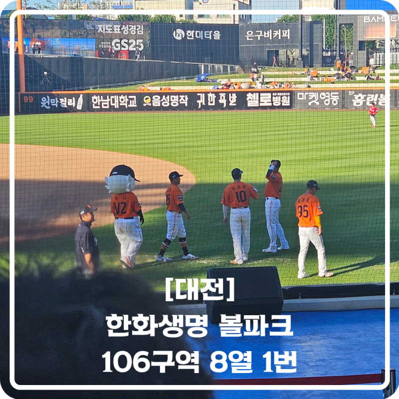 [대전] 한화생명 볼파크 106구역 8열 1번 시야, 좌석뷰 후기