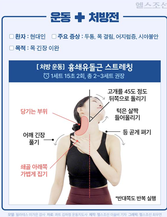  목 통증과 어지럼증의 숨은 원인은? '흉쇄유돌근' 스트레칭으로 해소하세요!