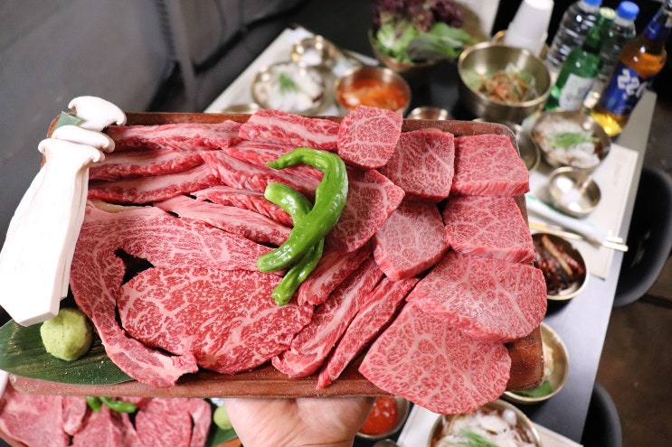 이수역 맛집 내돈내산 투뿔 한우의 진수를 느낀 이수갈비연구소