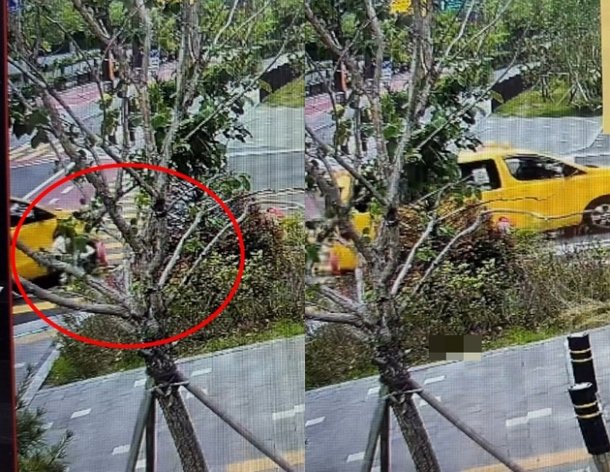  아이가 조용히 말했다 “노란 버스가 날 쳤어”! 운전자는 그대로 떠났다