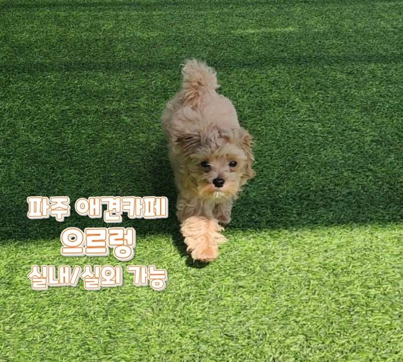 사진 2