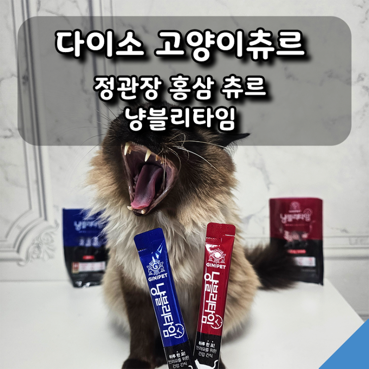  다이소 고양이 간식 정관장 홍삼 츄르 냥블리타임, 반려동물 영양제도 팔아요.