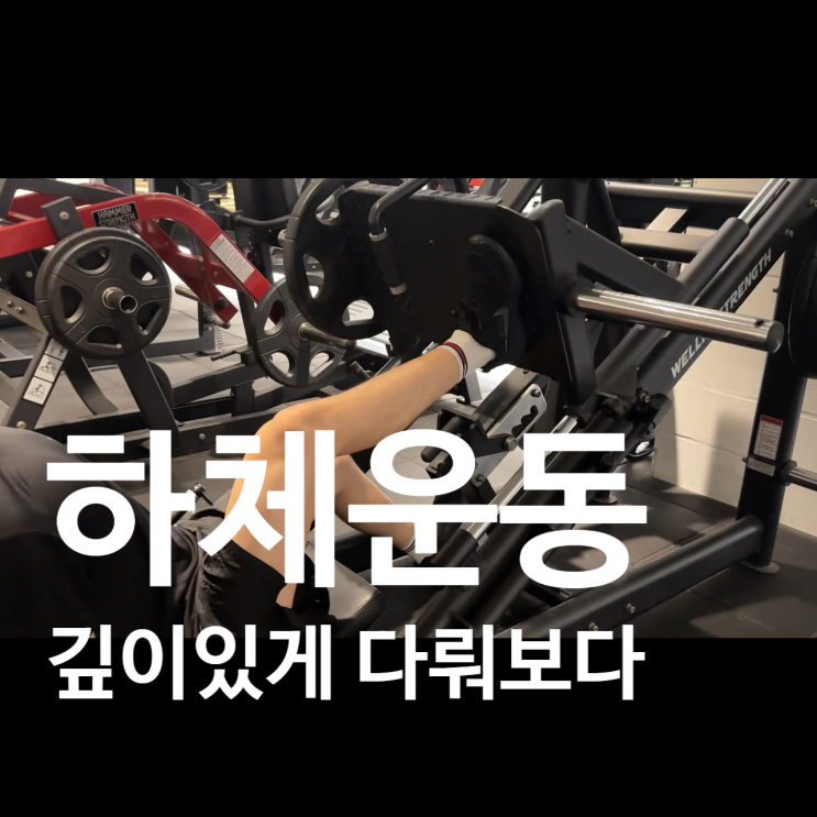  탄현 헬스장 PT후기 | 하체운동 깊이 있게 다뤄봐요!