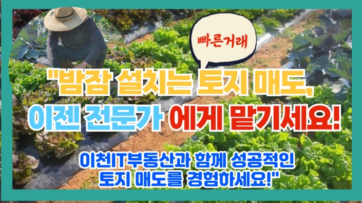  이천 토지 매도, 밤잠 설치셨나요? IT 부동산 전문가가 찾아낸 놀라운 매매 성공 비결! (성공 사례 공개)