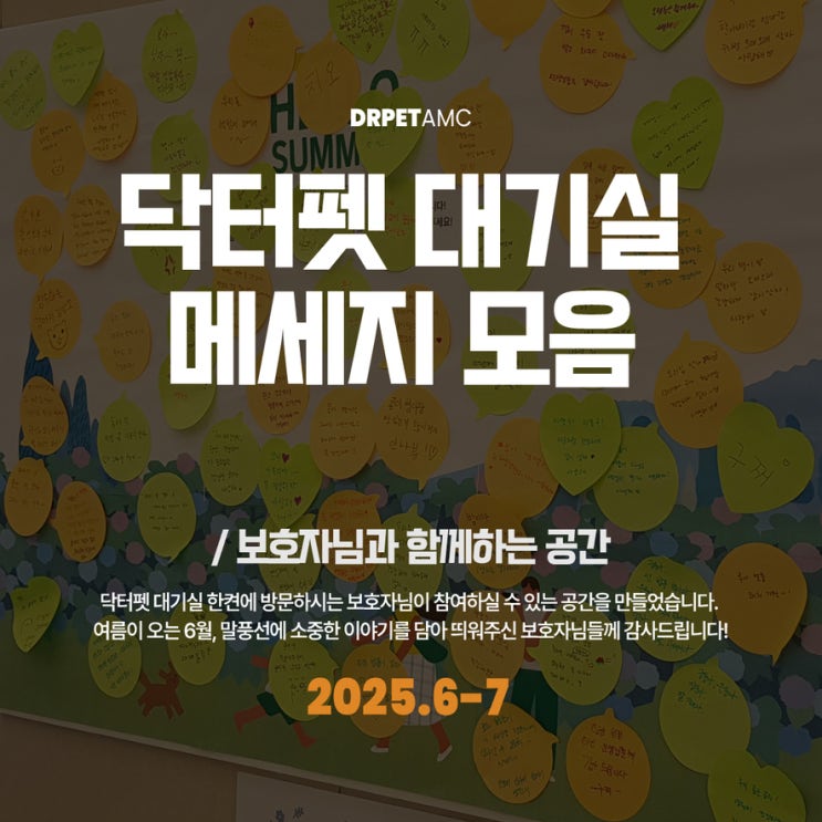  닥터펫동물의료센터 대기실 담벼락 메세지 모음 2025년 6-7월 부산 개금 24시 동물병원