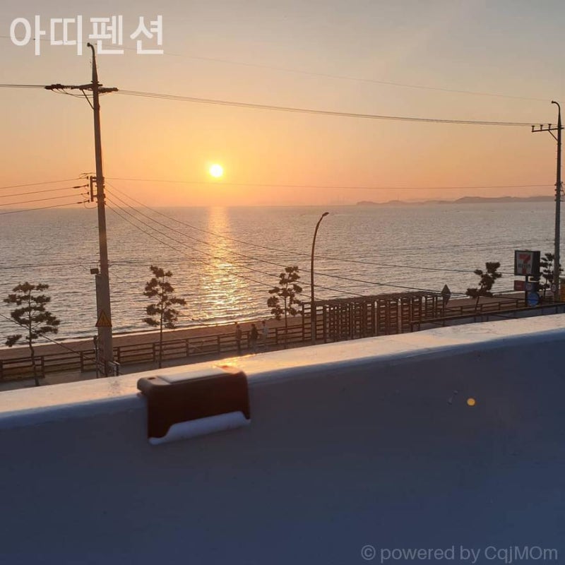 사진 3