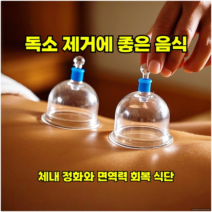  독소 제거에 좋은 음식 – 체내 정화와 면역력 회복 식단
