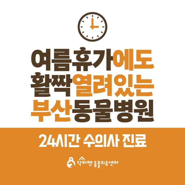  여름휴가에도 활짝 열려 있는 부산 동물병원 24시 야간 공휴일 강아지 고양이 응급실