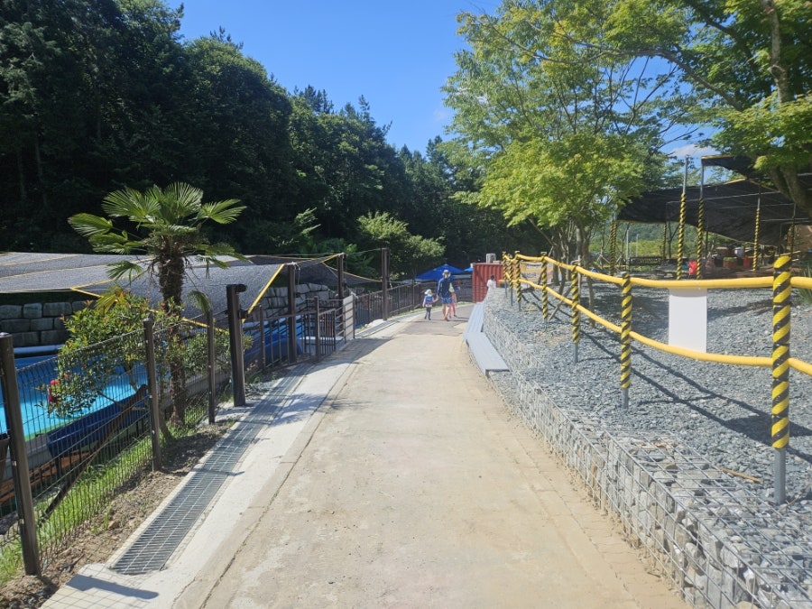 보은산 사진 4