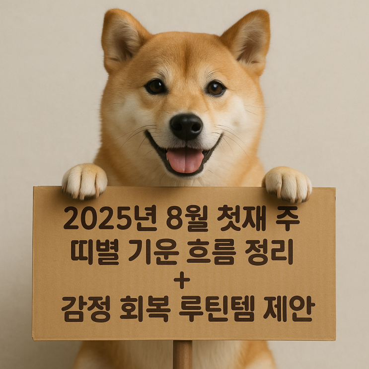  2025년 8월 1주 띠별 운세 총정리