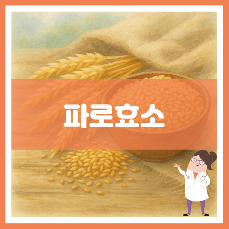 파로효소 효능 섭취방법 부작용