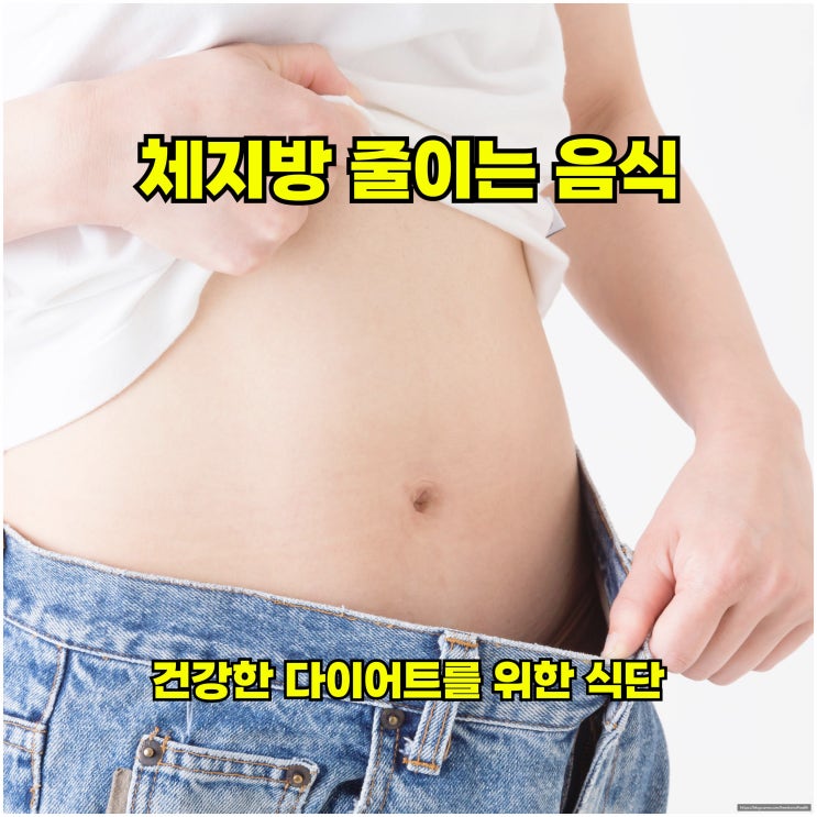  체지방 줄이는 음식 – 건강한 다이어트를 위한 식단