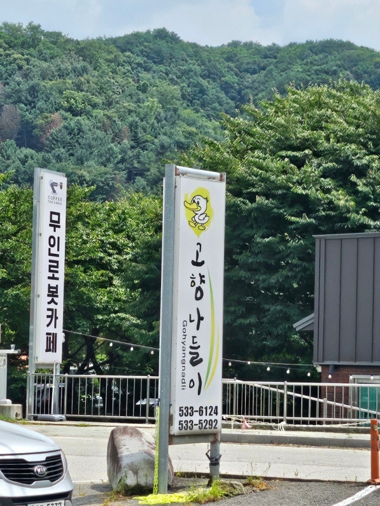  테디 테일즈 레나 베어 < 8월을 준비하며 >