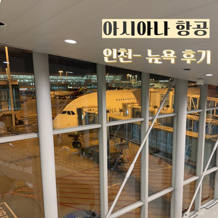  아시아나 인천-뉴욕 A350 사전좌석지정 기내식 입국심사 후기