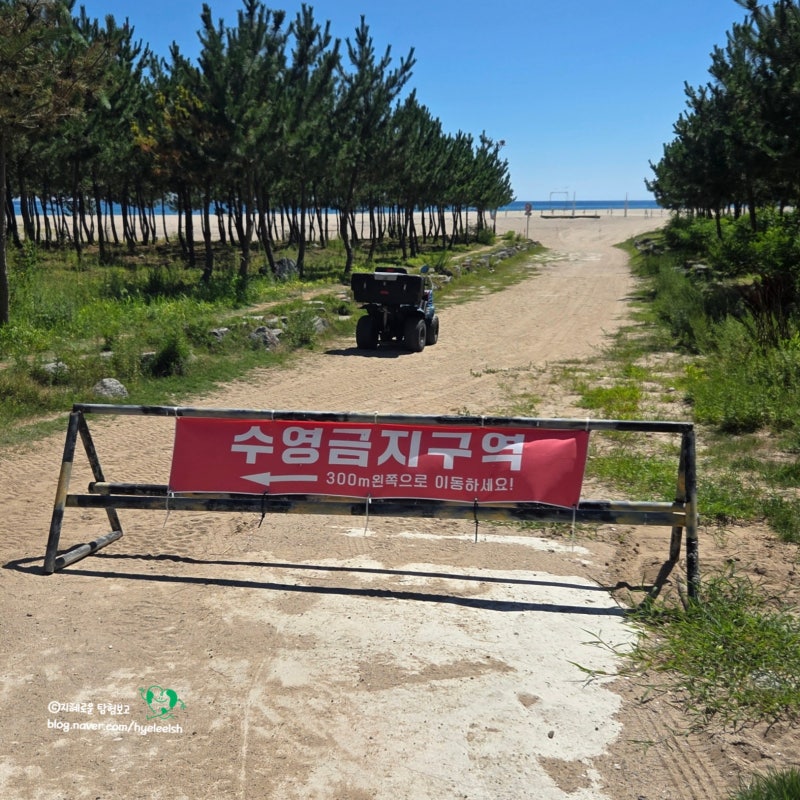 낙산해수욕장 숙소 양양비치콘도 가성비는 좋았다