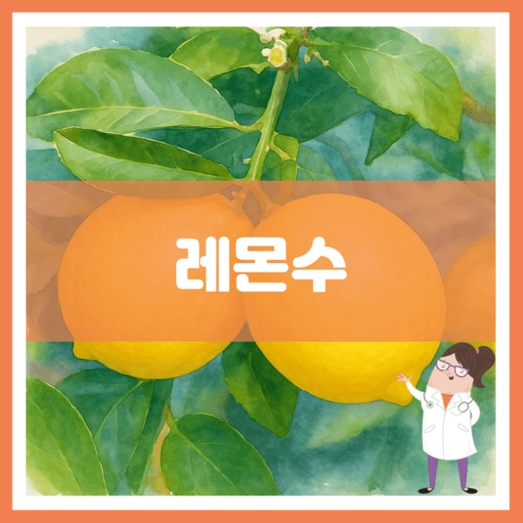  레몬수 효능 부작용 만드는 방법