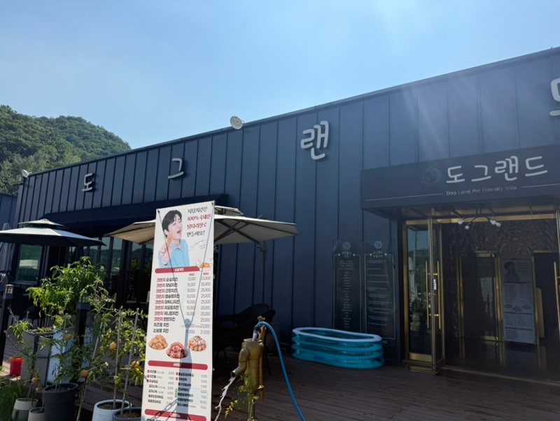 사진 5