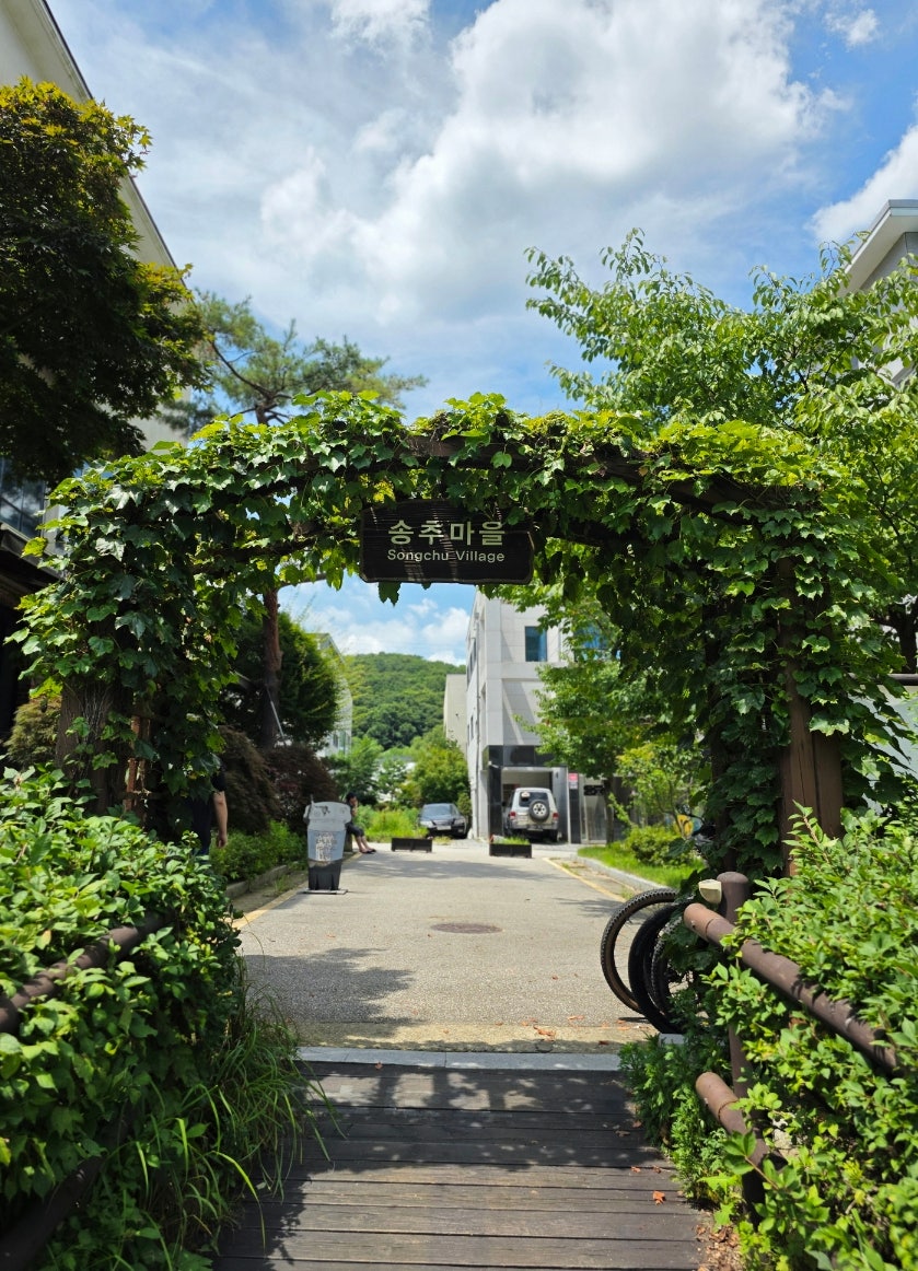 두리락 사진 3