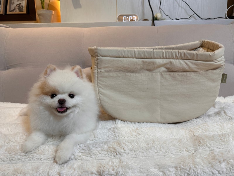 강아지 이동가방 리카리카 슬링백 이동백 후기 저렴이버전 추천