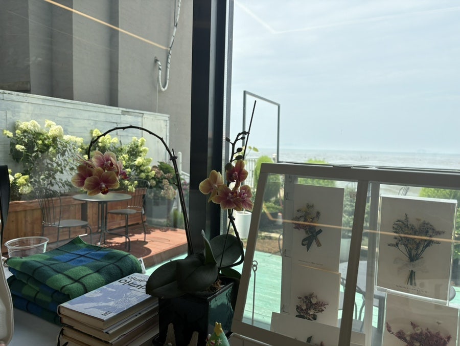 요거프레소 안산보화로점 사진 6