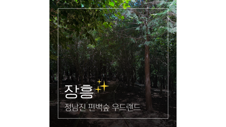  장흥 우드랜드 편백숲 산책 ㅣ 자연휴양림에서 즐기는 힐링여행